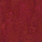 3228

red amaranth